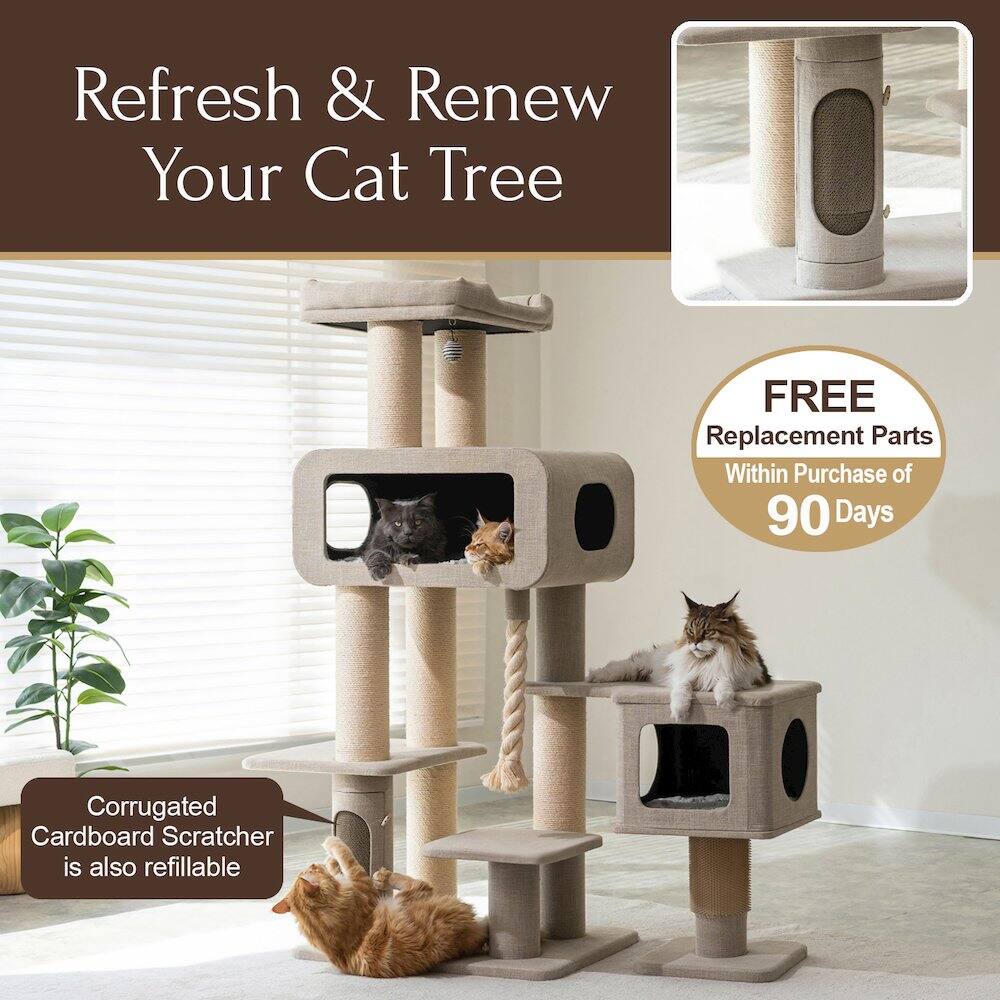 Refresh & Renew Your Cat Tree

FREE Replacement Parts Within Purchase of 90 Days

Corrugated Cardboard Scratcher is also refillable