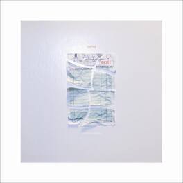 Lushes - Service Industry - VINYL LP