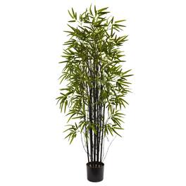 BreeBe - 5' Black Bamboo Tree x 13 w/744 Lvs - Green
