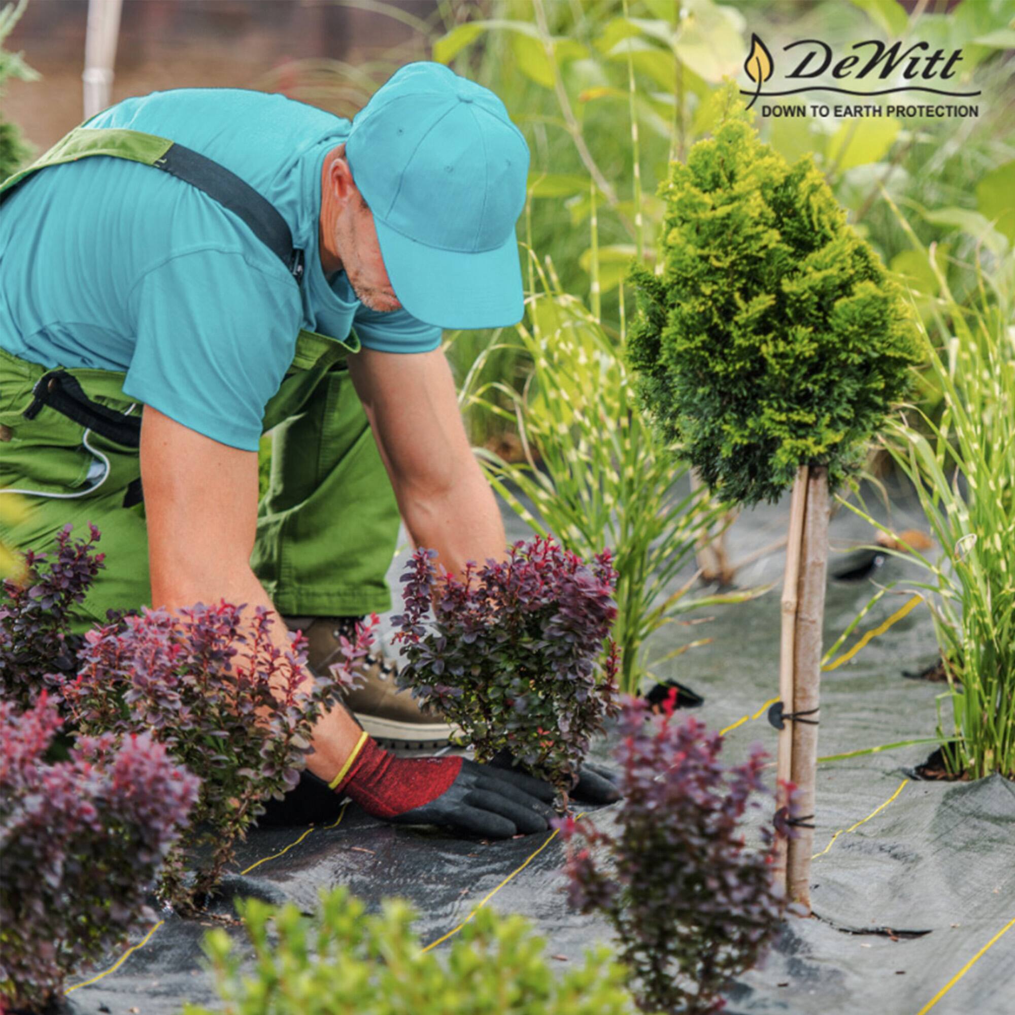 DeWitt  
DOWN TO EARTH PROTECTION