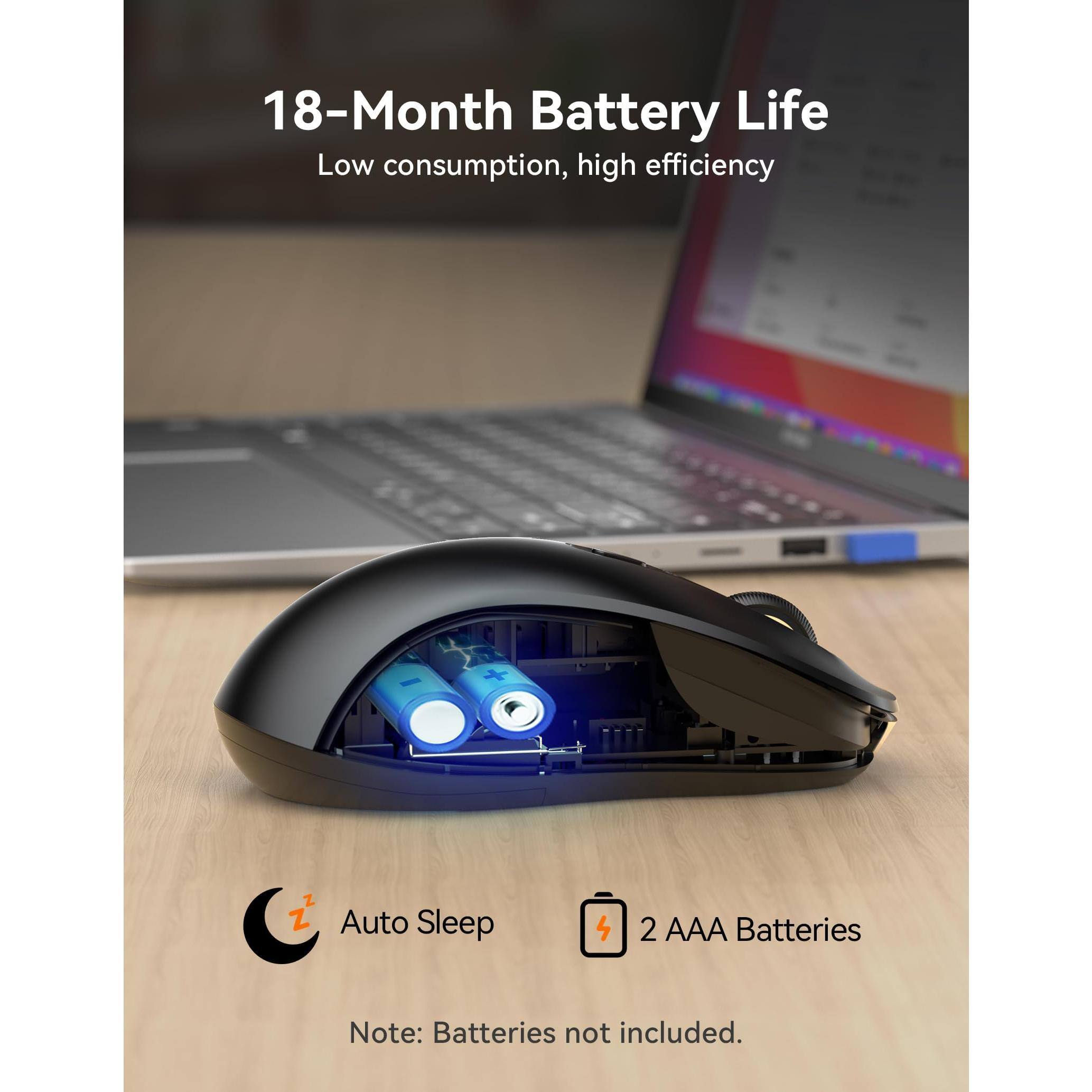 18-Month Battery Life  
Low consumption, high efficiency  

Auto Sleep  

2 AAA Batteries  

Note: Batteries not included.
