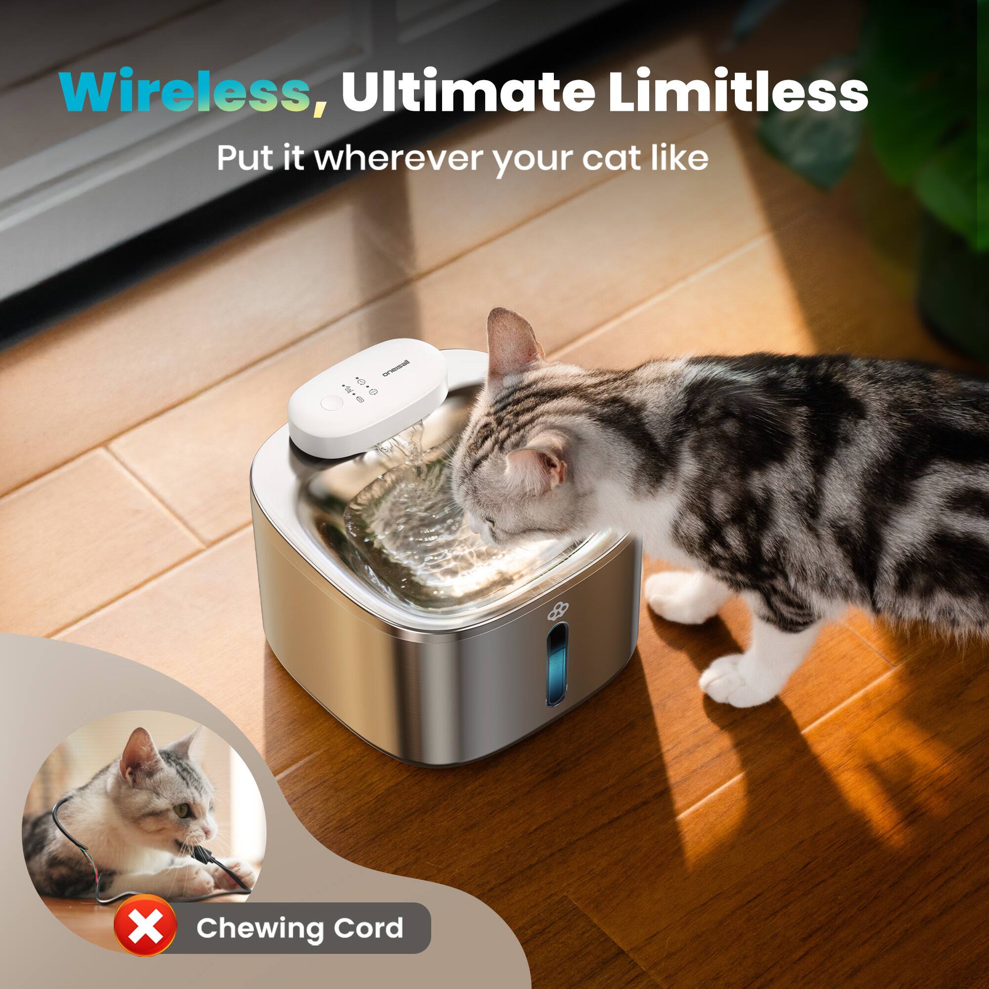 Wireless, Ultimate Limitless  
Put it wherever your cat likes  

Chewing Cord