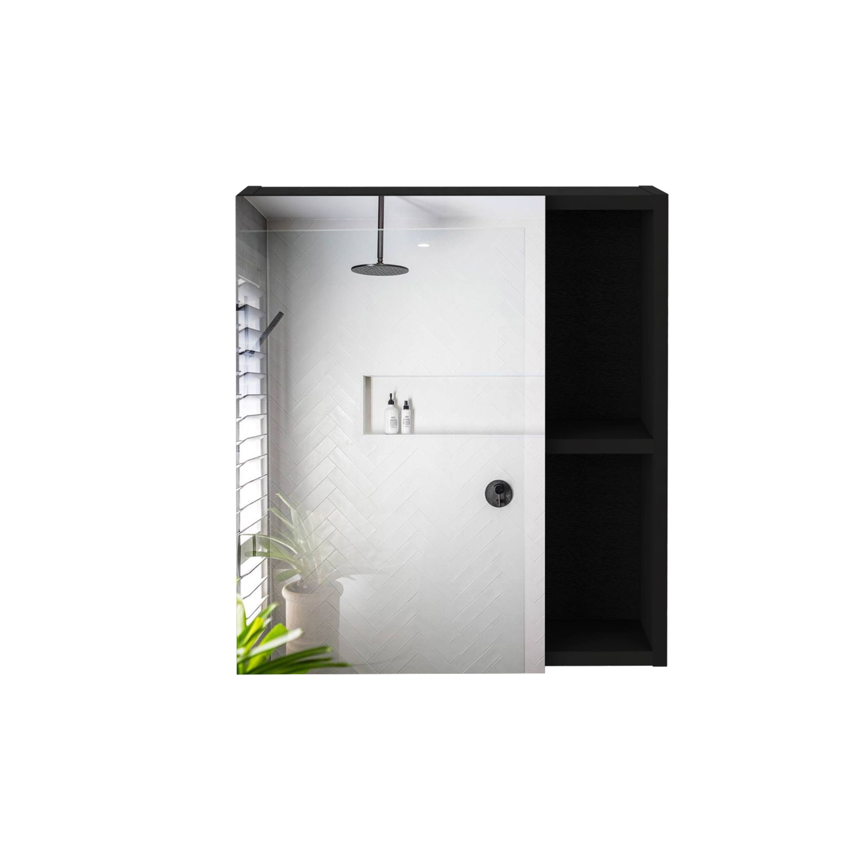 TuHome - Labelle Medicine Cabinet With Mirror, Five Internal Shelves, Single Door - Black