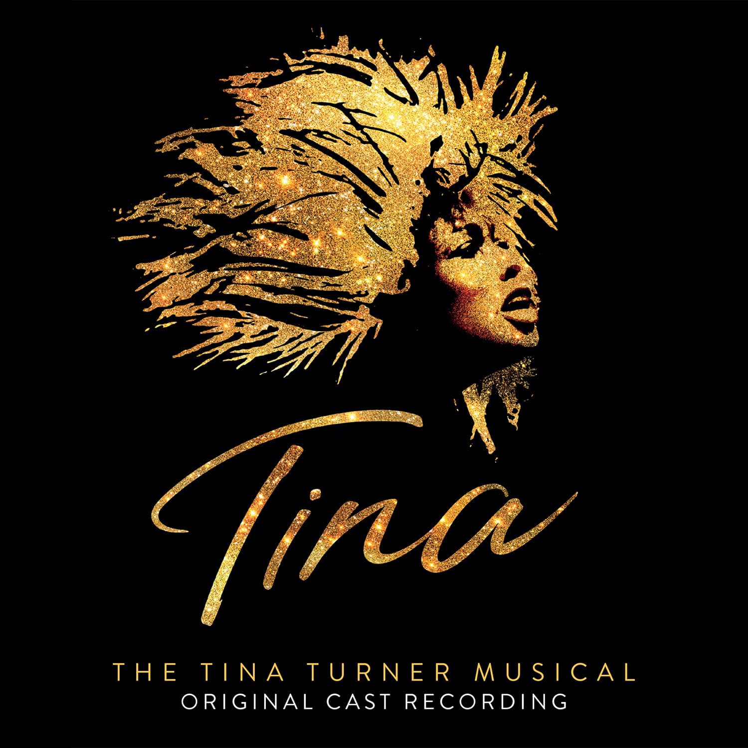 Tina Turner - Tina: The Tina Turner Musical (Original Cast Recordings)   - VINYL LP price history on PriceWatchPro