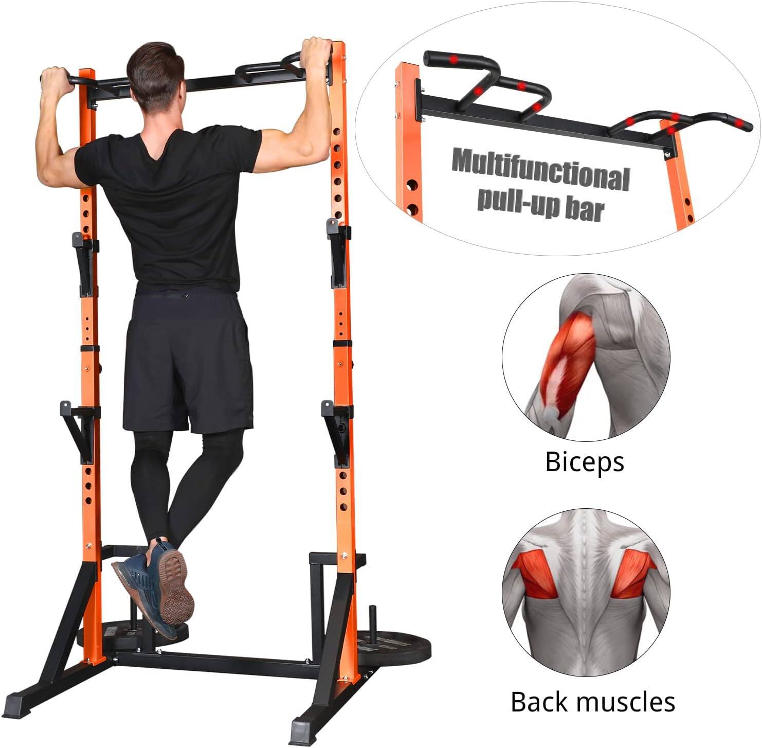 Multifunctional pull-up bar

Biceps

Back muscles