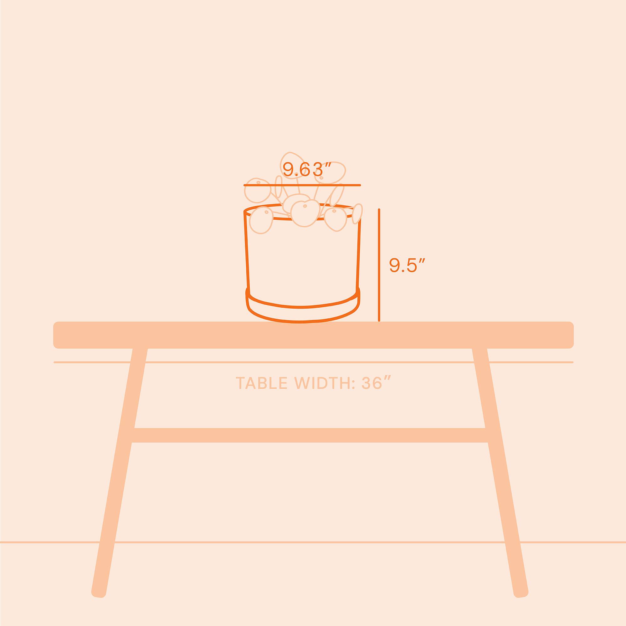 9.63" 9.5" TABLE WIDTH: 36"