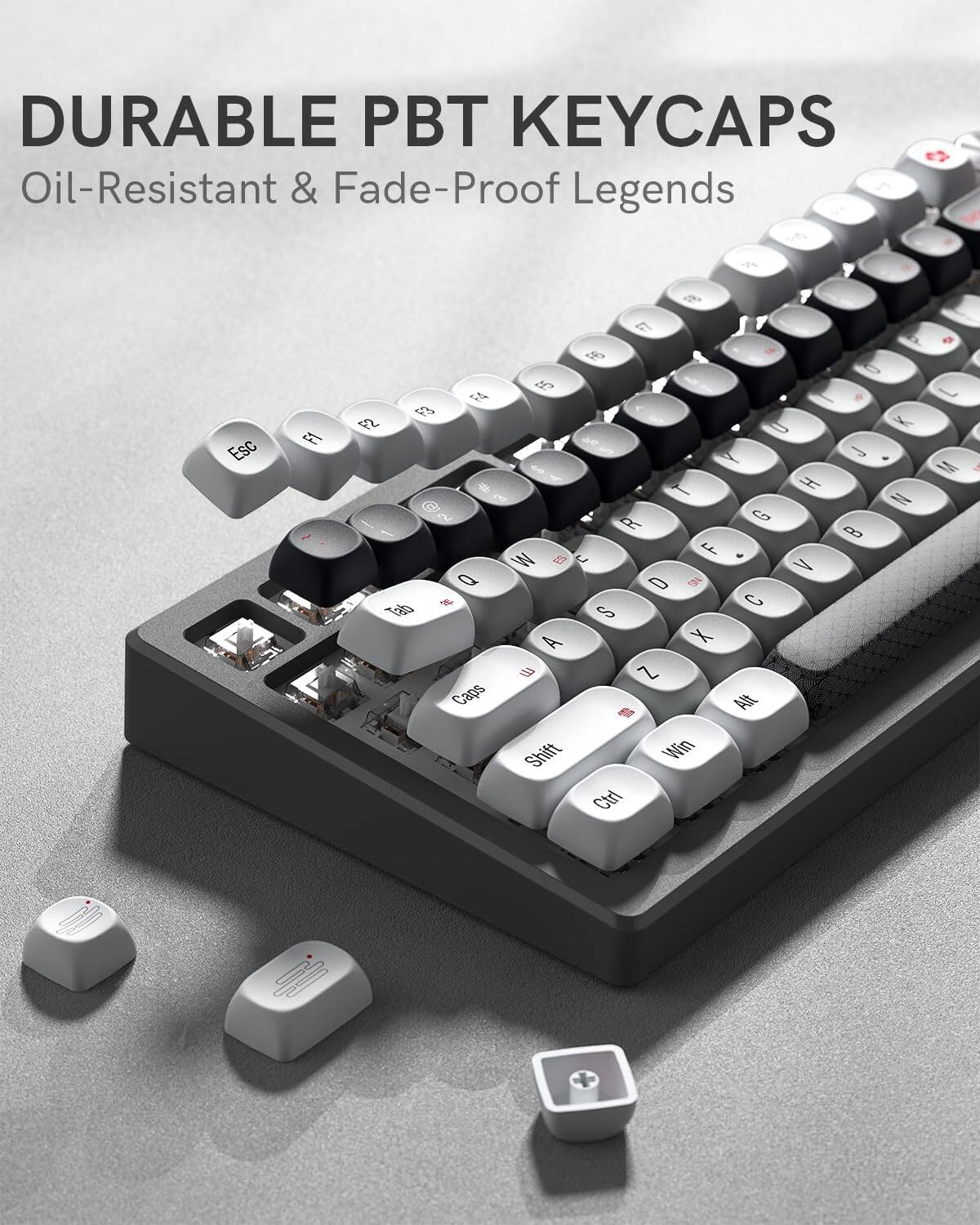 DURABLE PBT KEYCAPS  
Oil-Resistant & Fade-Proof Legends