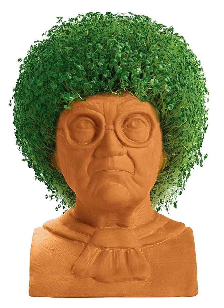 Alt View 10. Joseph Enterprises - Golden Girls Chia Pet Sophia Decorative Pottery Planter.