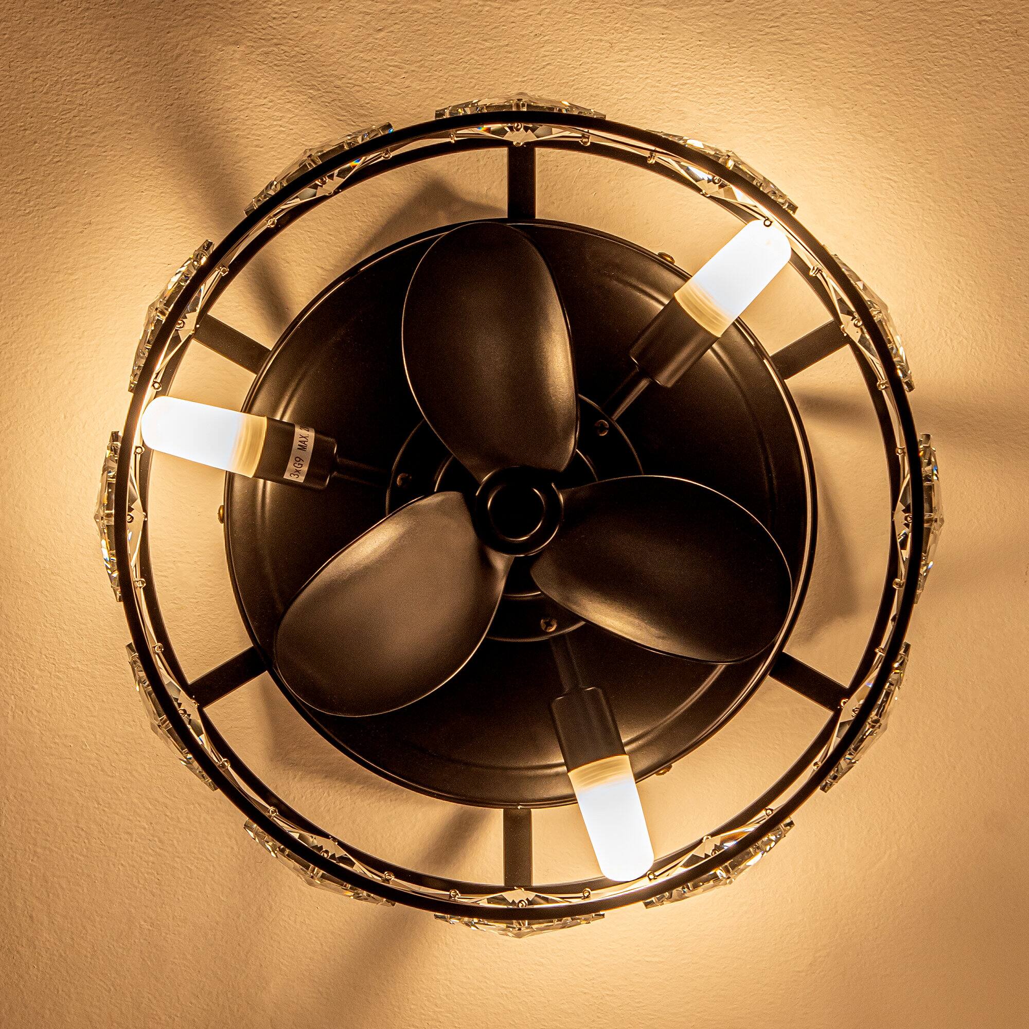 The text on the image reads: "RAX PONE"