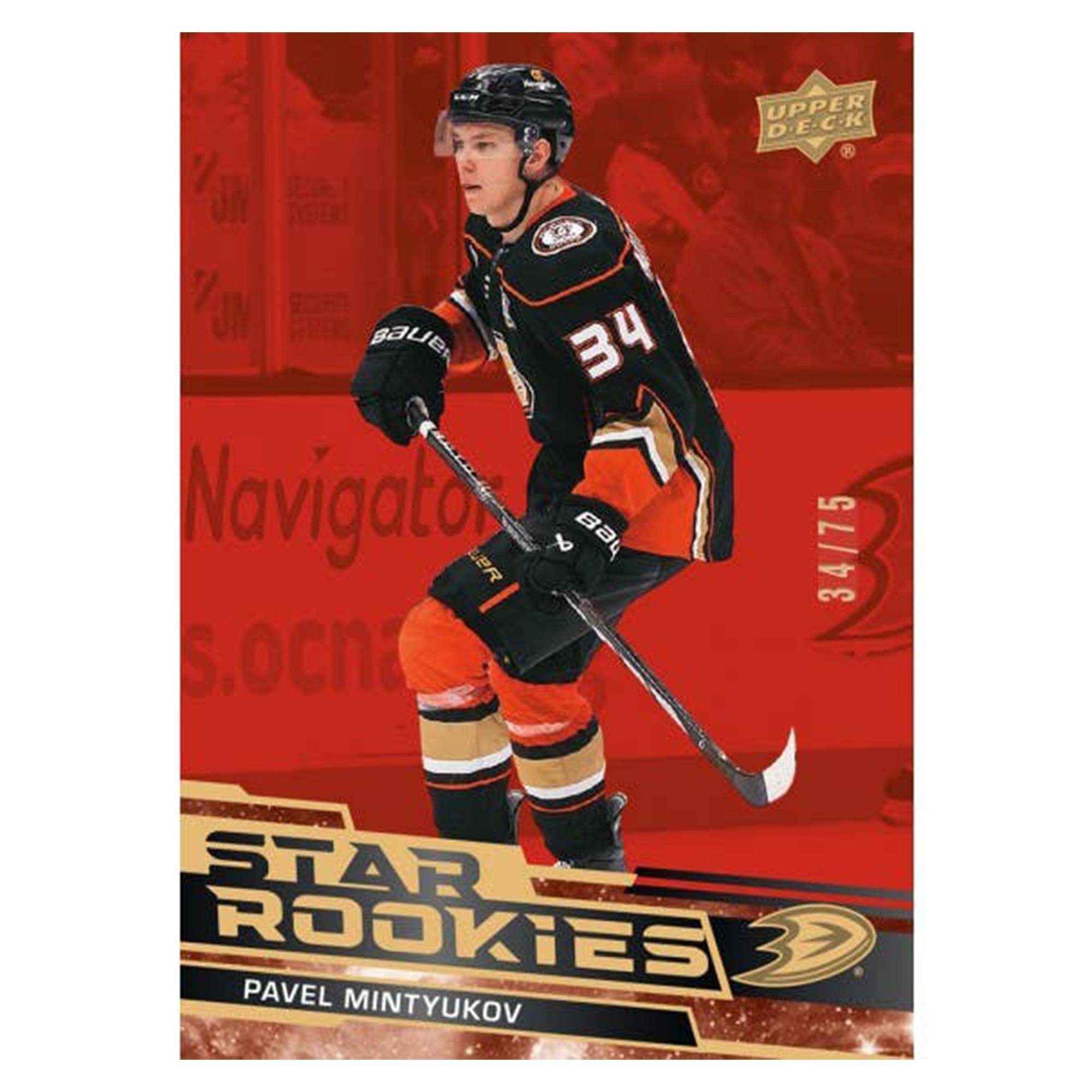 V / F BALE 34  
Navigato ER 1  
Baue  
UPPER D.E.C.K  
34/75  
STAR ROOKIES  
PAVEL MINTYUKOV