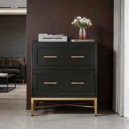 Forest'nSky - Sleek File Storage Cabinet - Durable Metal Office Organizer with Locking Drawers,Black