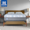 Sealy DreamLife