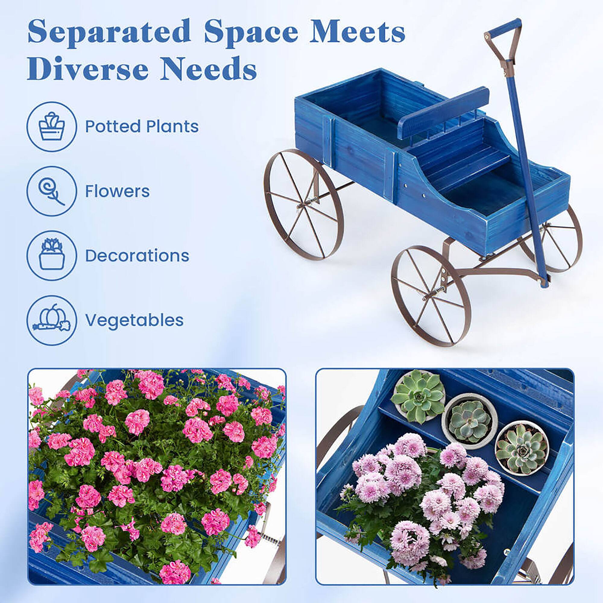Separated Space Meets Diverse Needs

- Potted Plants
- Flowers
- Decorations
- Vegetables
