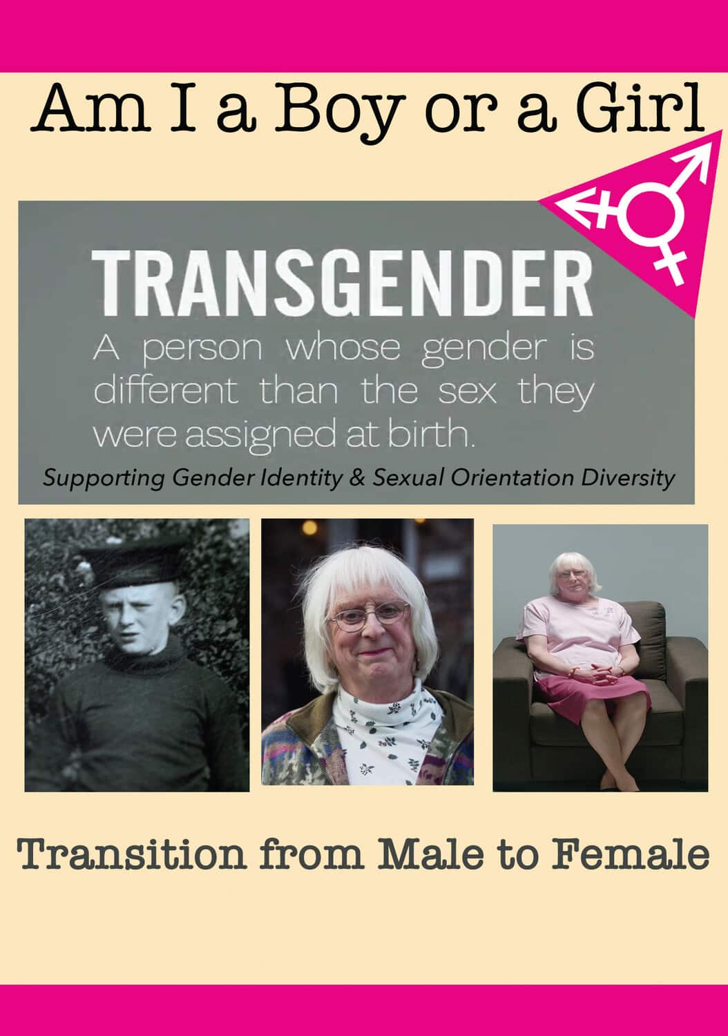 Am I A Boy of Girl Featuring Gayle Roberts - Transition from Male to Female  - DVD