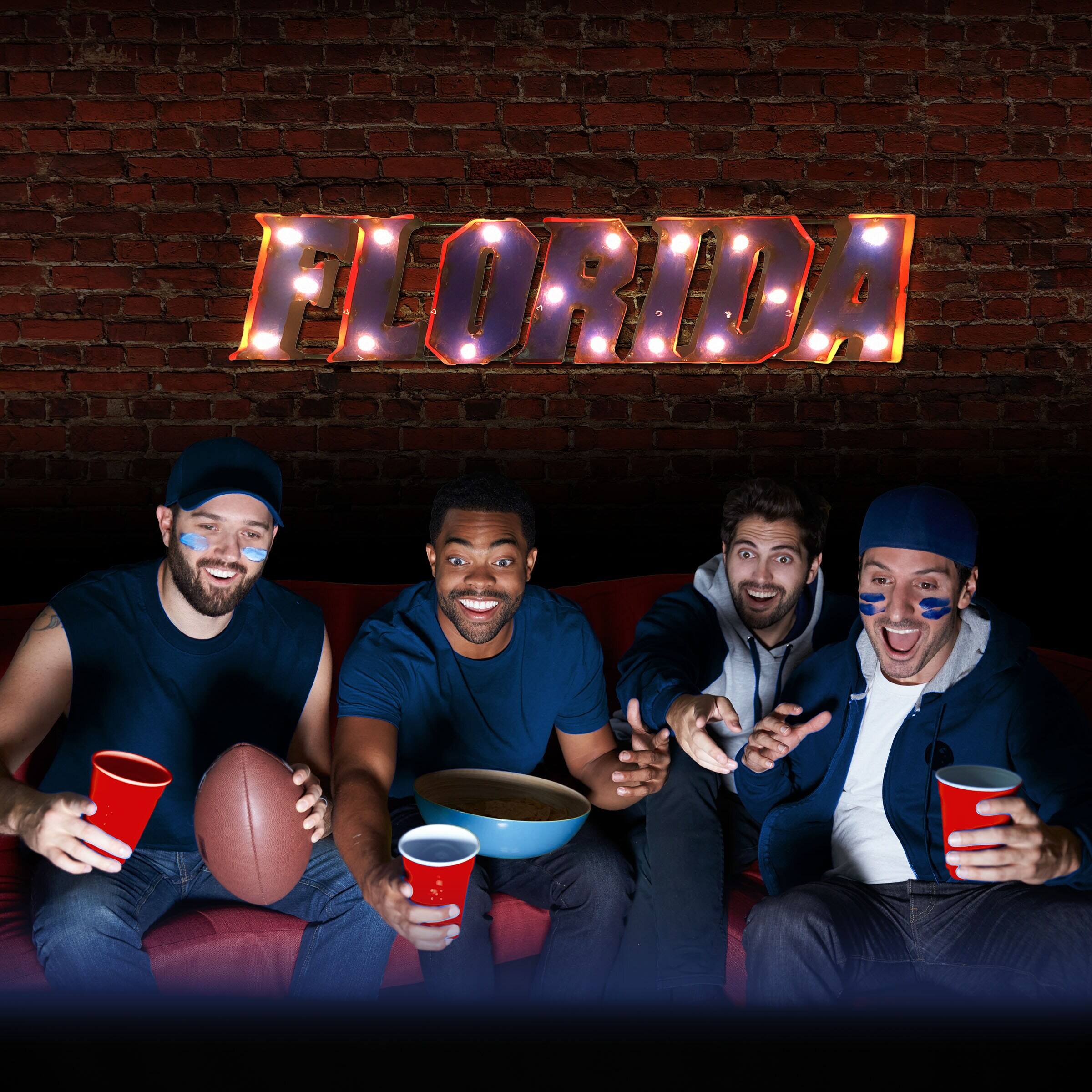 Alt View 2. Imperial - Florida Gators Logo Lighted Recycled Metal Sign - Multicolor.