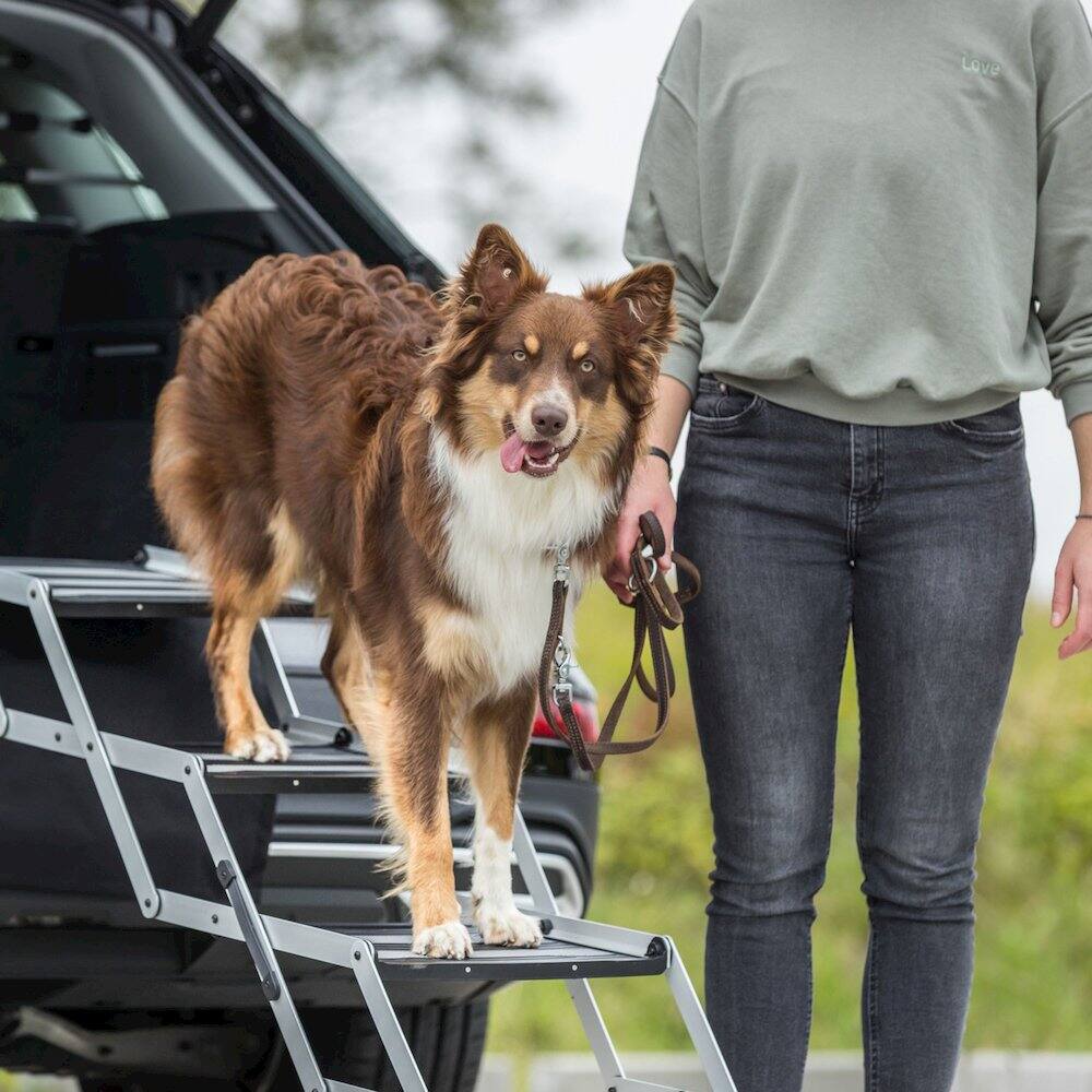 Left. TRIXIE - Heavy Duty Foldable 4 Step Pet Stairs, Lightweight Aluminum, Portable Pet Steps - Silver/Black.