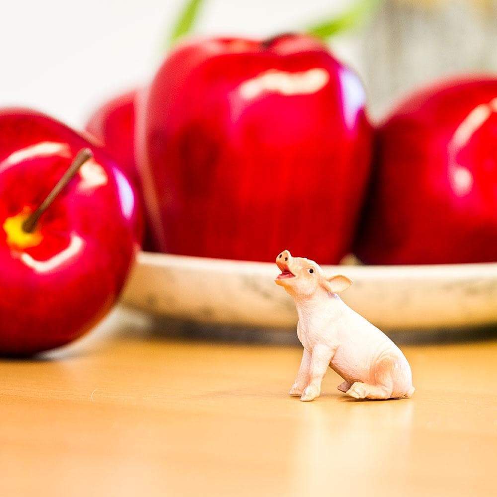Alt View 3. Safari Ltd. - Sitting Piglet.