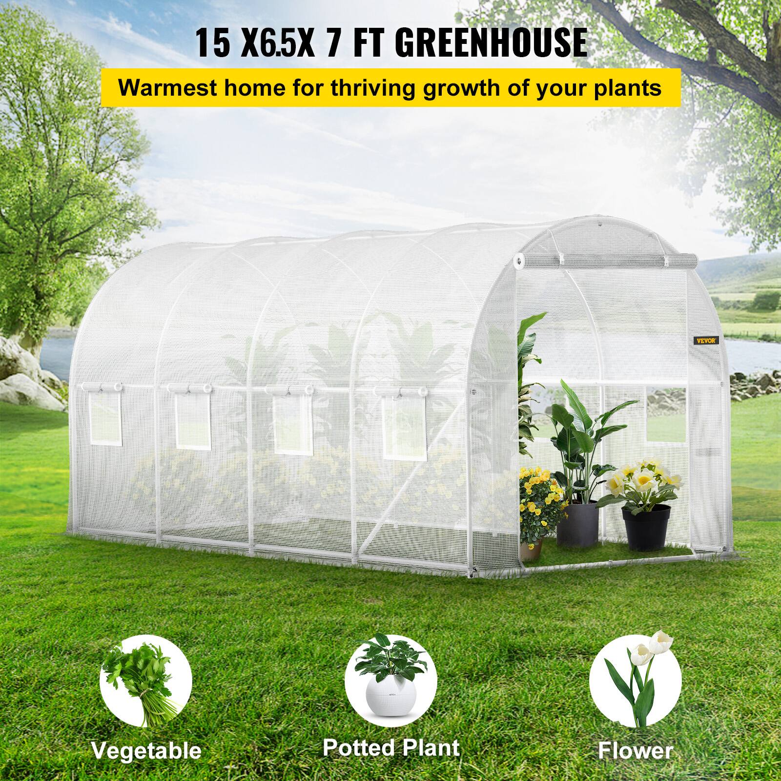 15 X6.5X 7 FT GREENHOUSE Warmest home for thriving growth of your plants

FEVUR
Vegetable
Potted Plant
Flower
