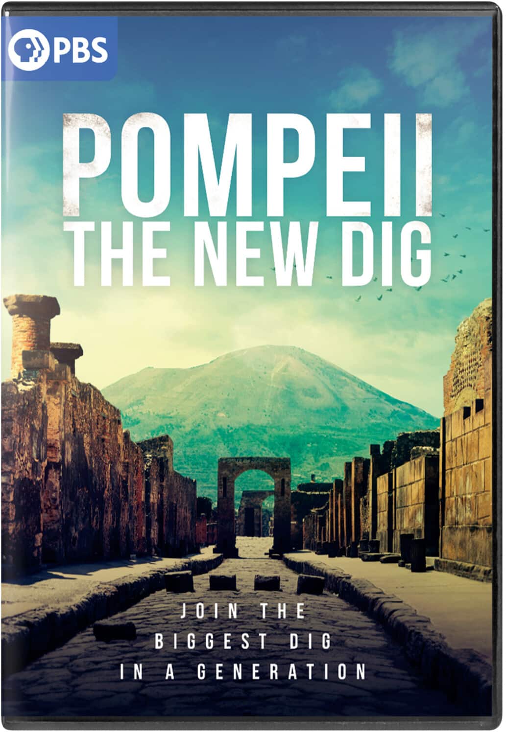 Pompeii: The New Dig  - DVD
