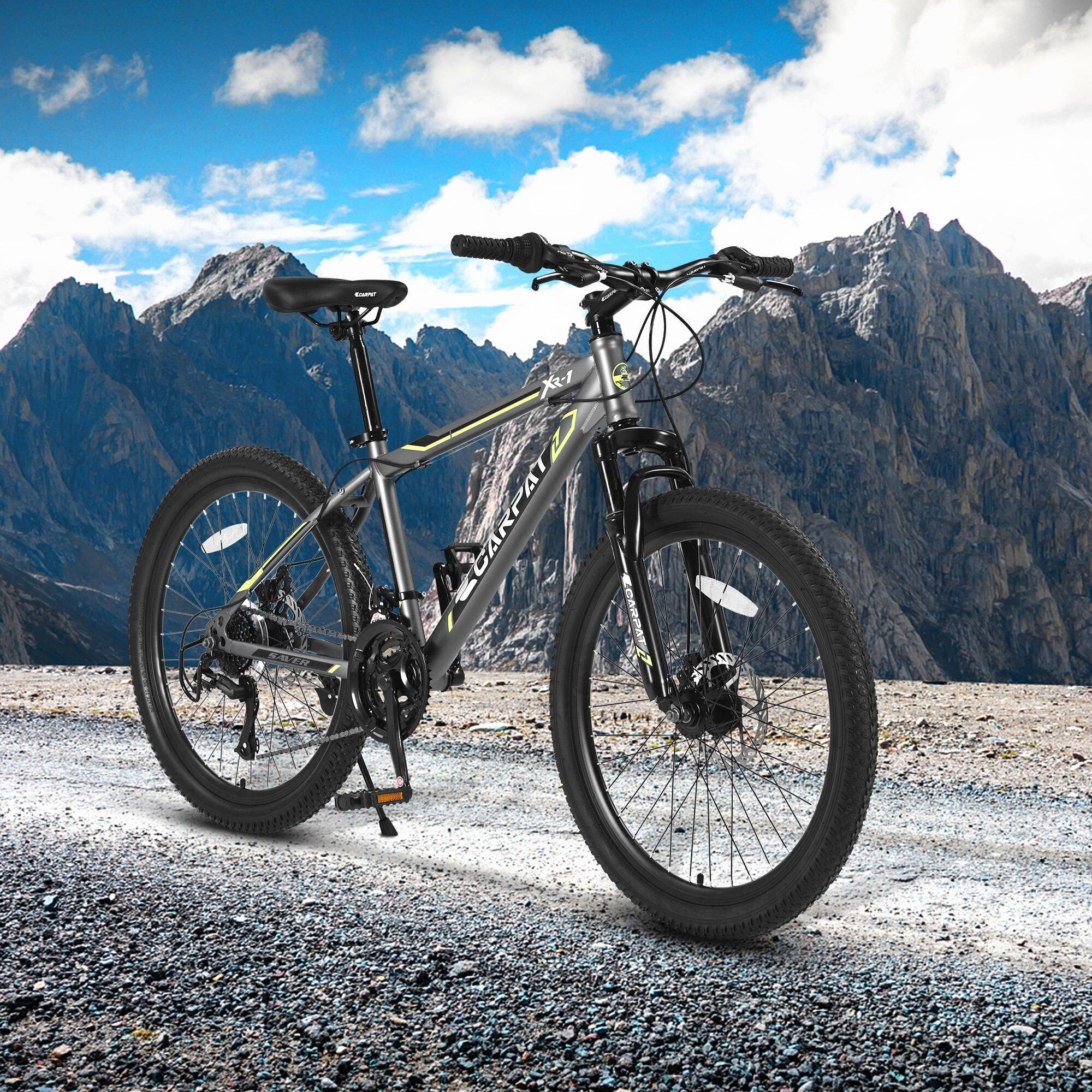 Xx-I 1 CARPAT ECARPA