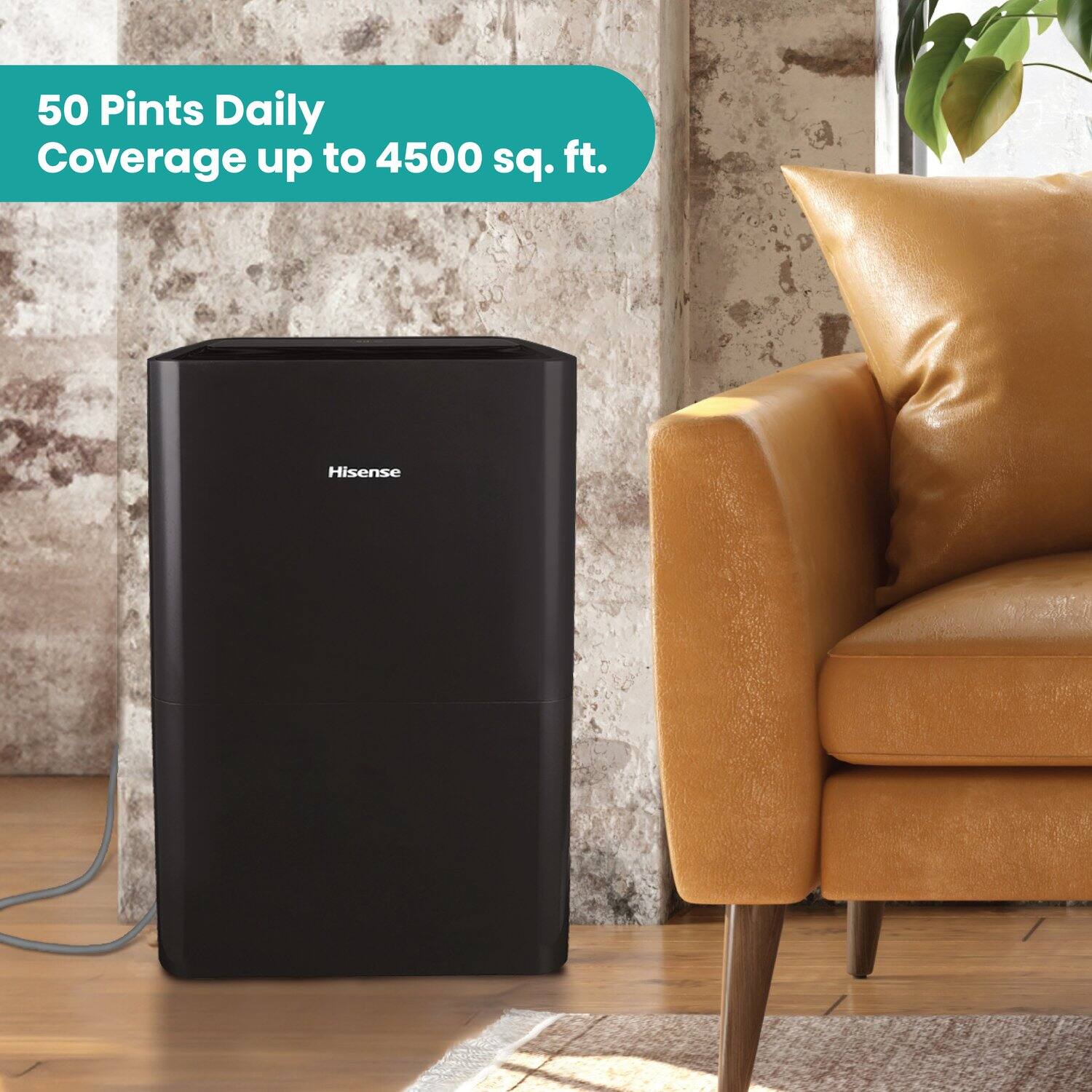 50 Pints Daily Coverage up to 4500 sq. ft.

Hisense