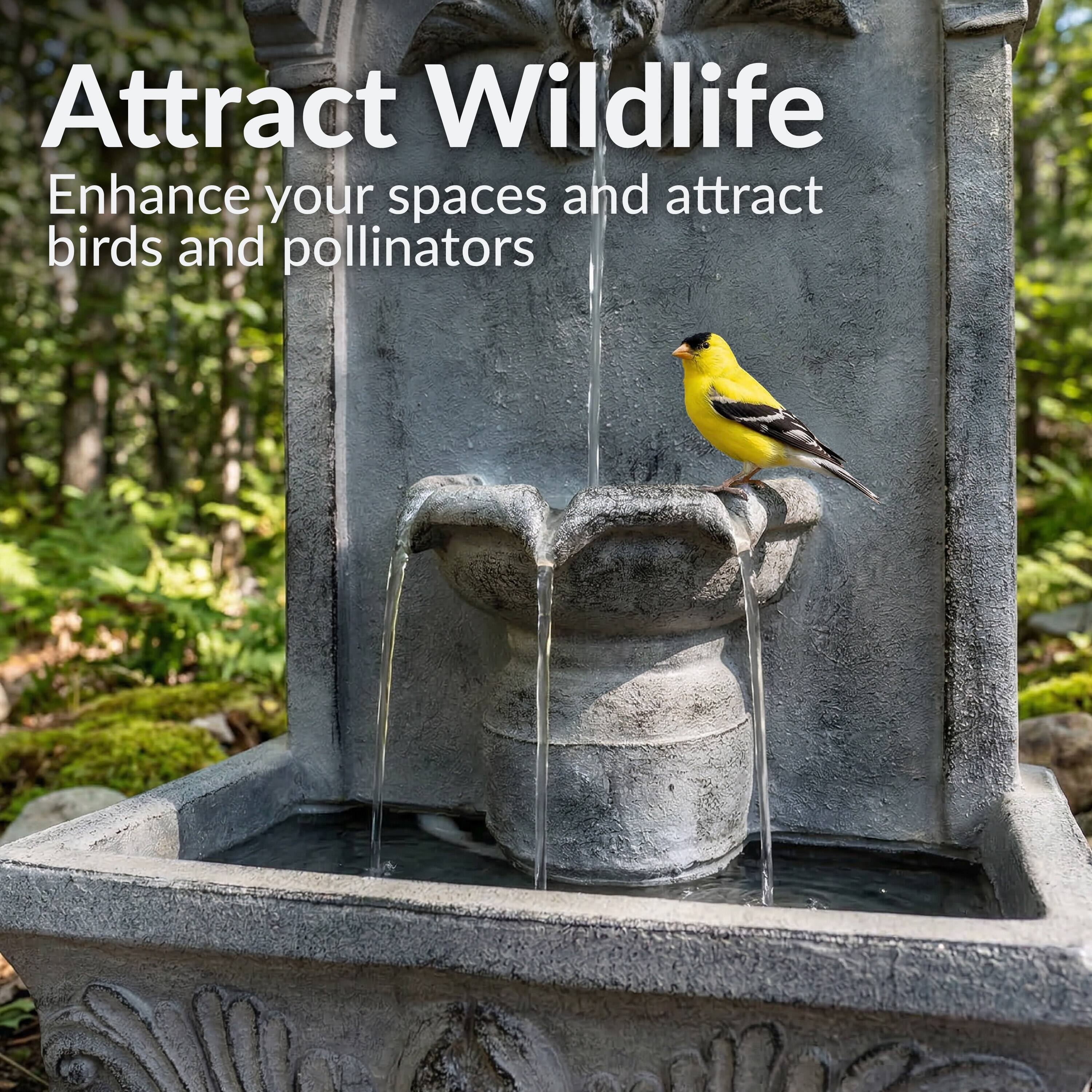 Attract Wildlife  
Enhance your spaces and attract birds and pollinators