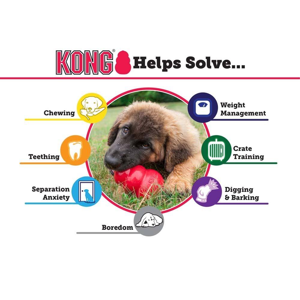 KONG Helps Solve...
- Chewing
- Weight Management
- Teething
- Crate Training
- Separation Anxiety
- Digging & Barking
- Boredom