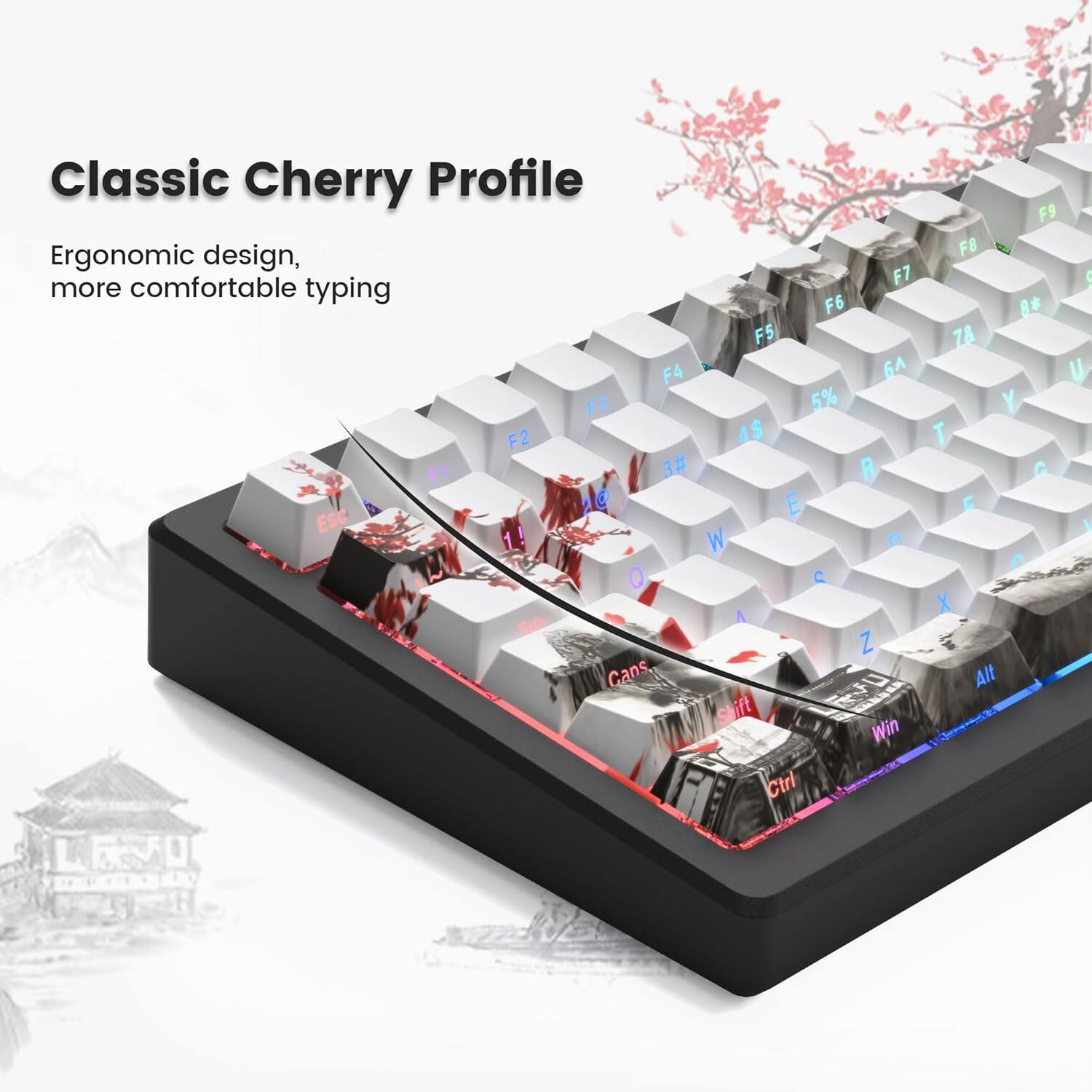 Classic Cherry Profile  
F9 design, F8 Ergonomic comfortable F7 more typing F6 8 F5 7& F4 6 U FJ 5% Y F2 AS T F1 3# R G C E E ESC 1 W n C Q C Jeid X Zah A Z Cans Alt Shift Win Ctrl