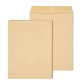 Staples - Gummed Kraft Catalog Envelopes, 9"L x 12"H, 100/Box - Brown