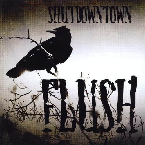 Shutdowntown - Flush   - COMPACT DISCS [CD] price history on PriceWatchPro