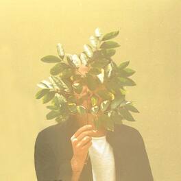 French Kiwi Juice - French Kiwi Juice - VINYL LP
