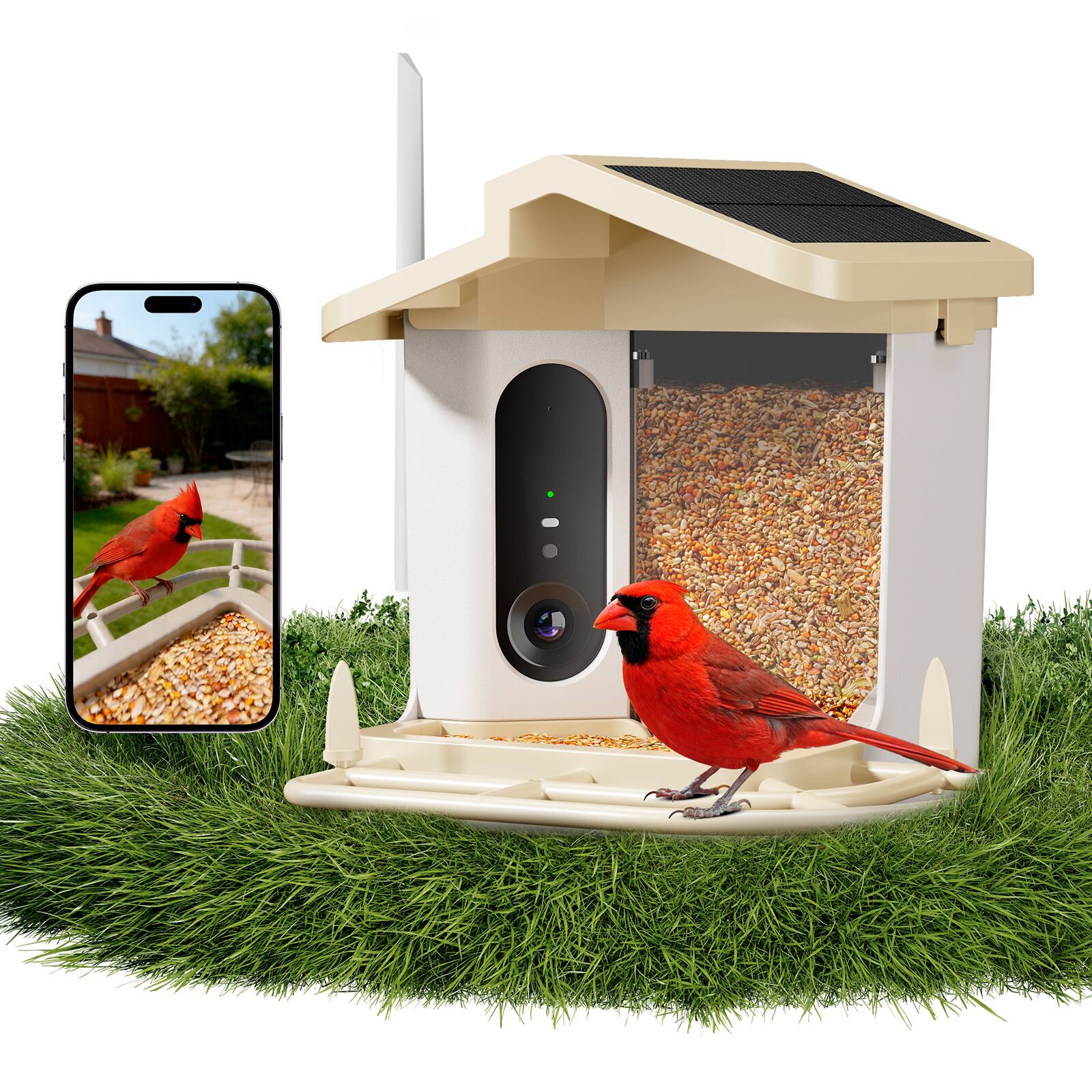 Alt View 8. Thymix - Smart Bird Feeder with Camera, 4K Night Vision, AI Bird ID, Low Food Alert, Solar Panel, Squirrel Deterrent - Khaki - Khaki.