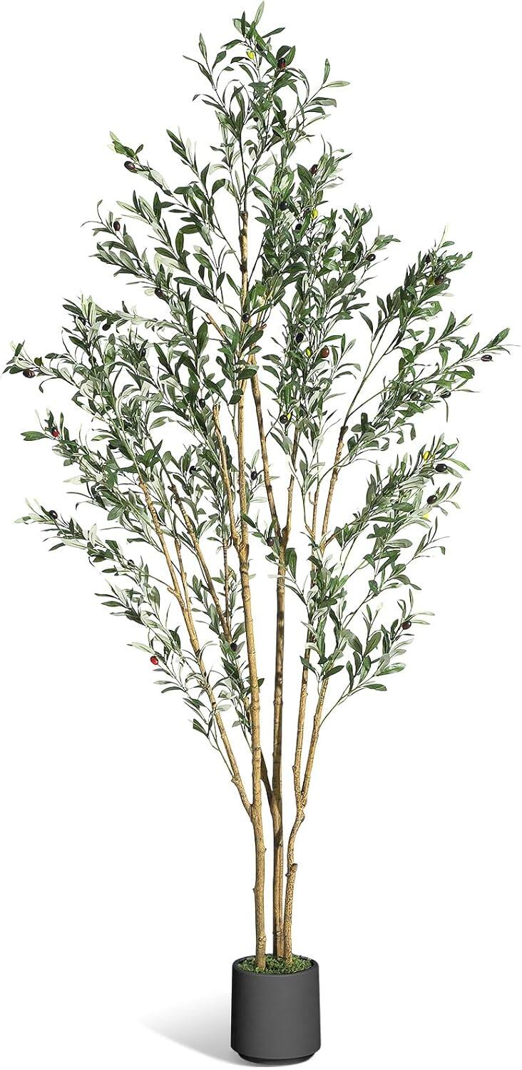 Front. Homhougo - 7FT Olive Trees Artificial Indoor, Faux Silk Plant with Natural Wood Trunk and Lifelike Fruits, Black Imitation Ceramic - Black.