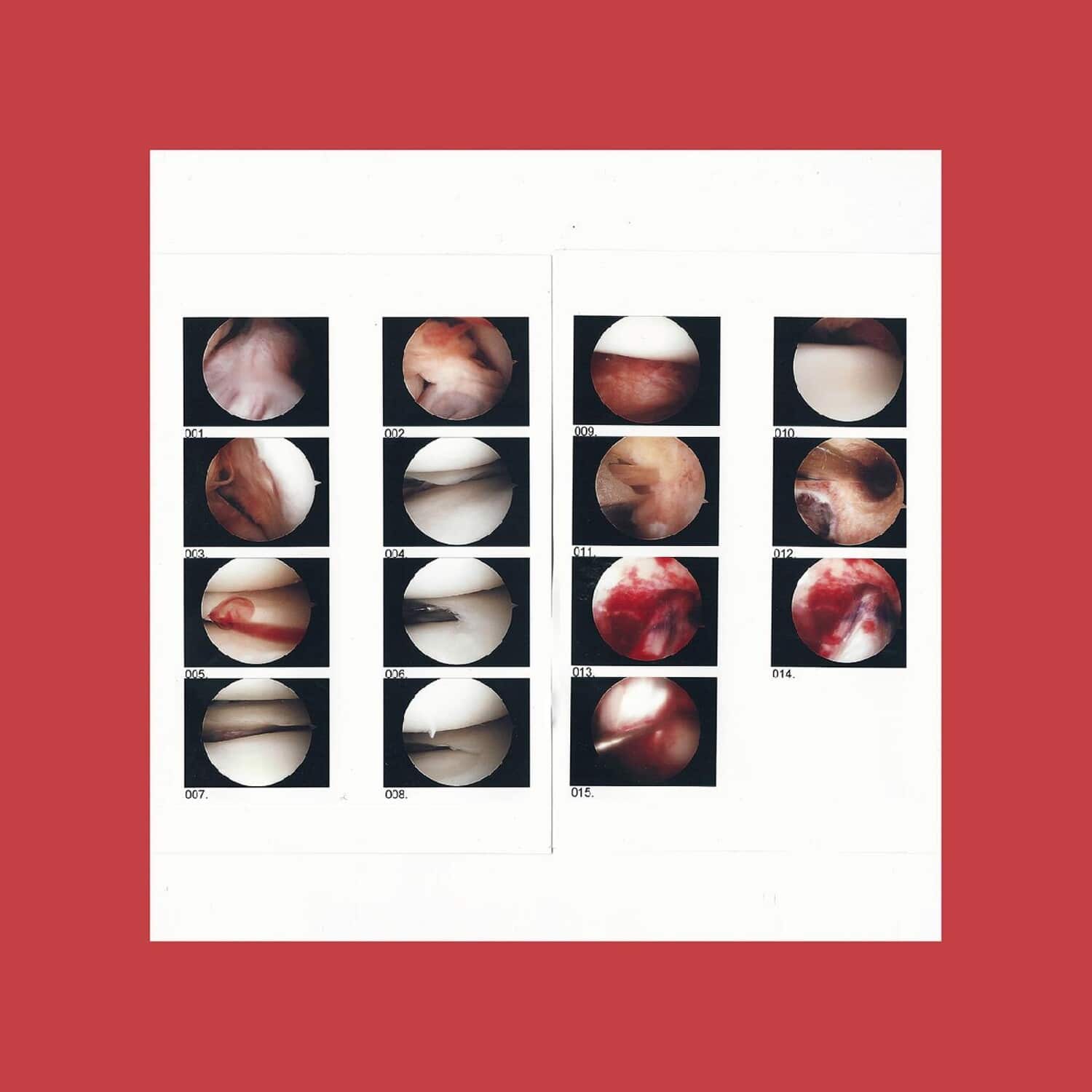 Cradle - Laughing In My Sleep   - VINYL LP price history on PriceWatchPro