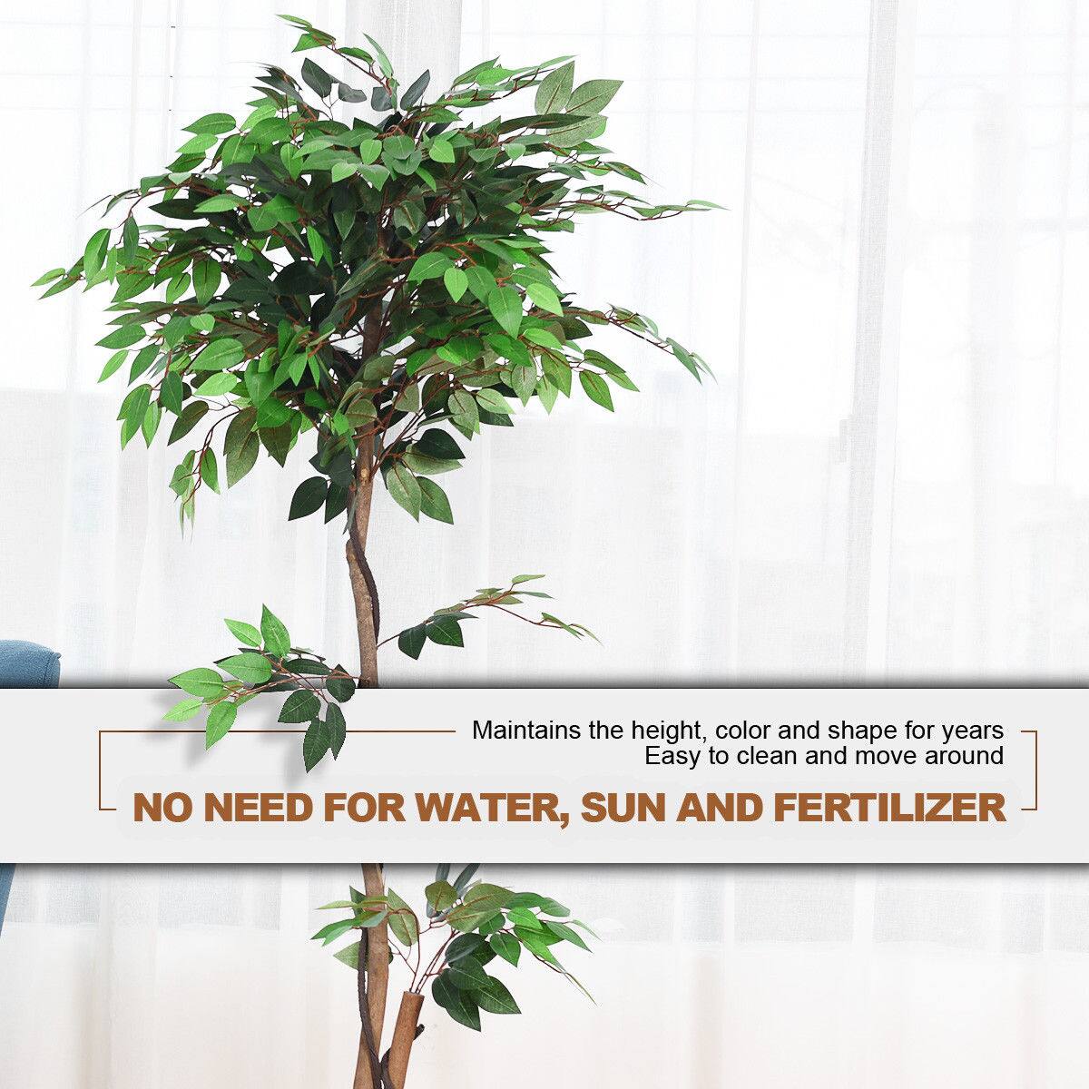Maintains the height, color, and shape for years. Easy to clean and move around. NO NEED FOR WATER, SUN AND FERTILIZER.