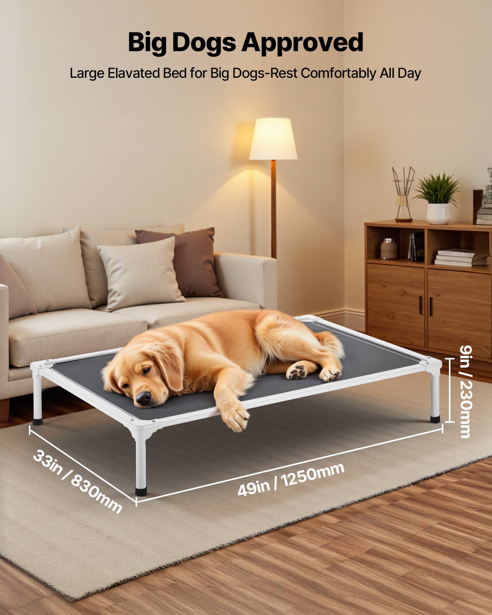Big Dogs Approved  
Large Elevated Bed for Big Dogs - Rest Comfortably All Day  

33in / 830mm  
49in / 1250mm  
9in / 230mm