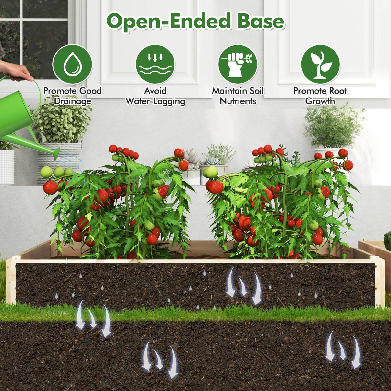 Open-Ended Base

- Promote Good Drainage
- Avoid Water-Logging
- Maintain Soil Nutrients
- Promote Root Growth