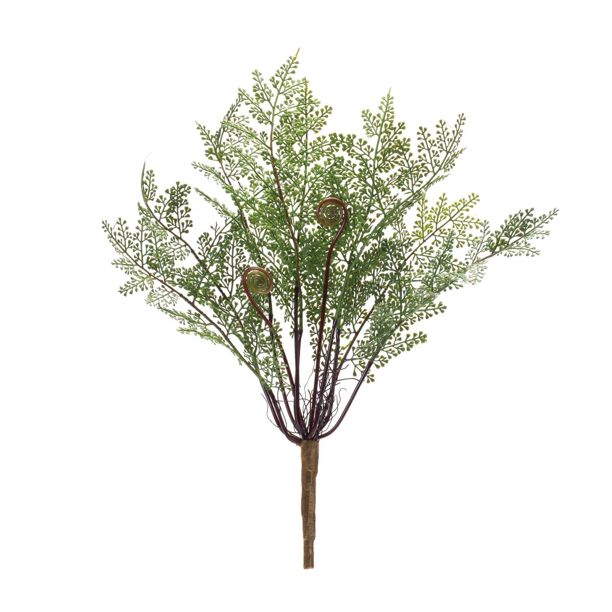 Angle. BreeBe - Fern Bush (Set of 2) - Green, Brown.