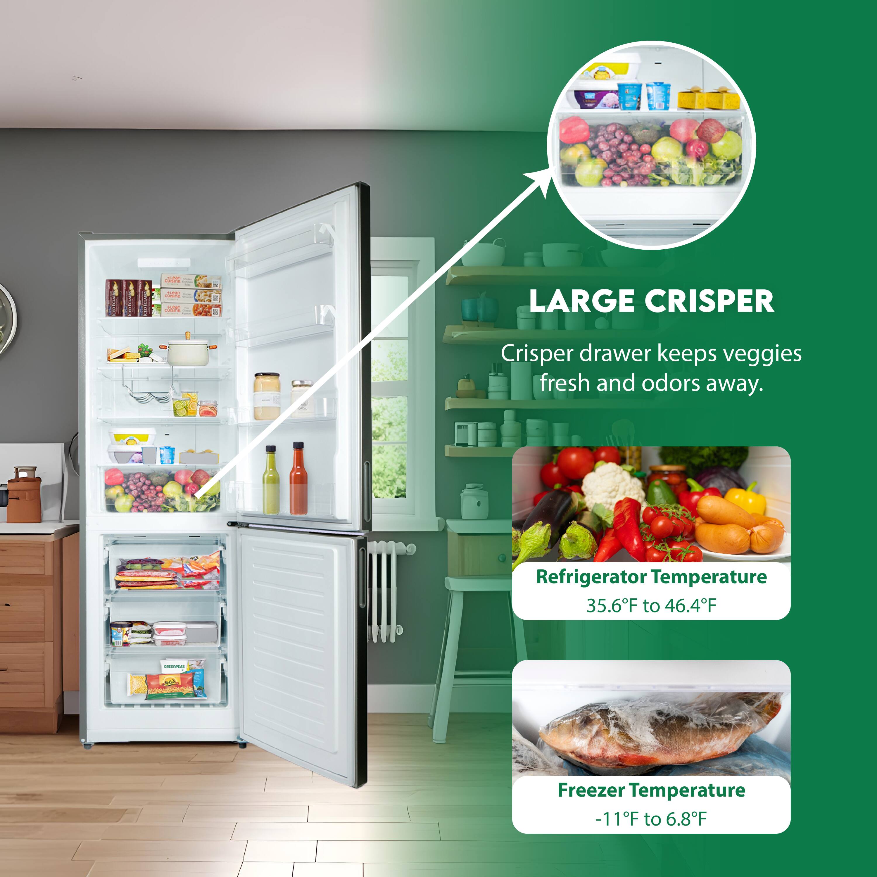 LARGE CRISPER  
Crisper drawer keeps veggies fresh and odors away.

Refrigerator Temperature  
35.6°F to 46.4°F

Freezer Temperature  
-11°F to 6.8°F