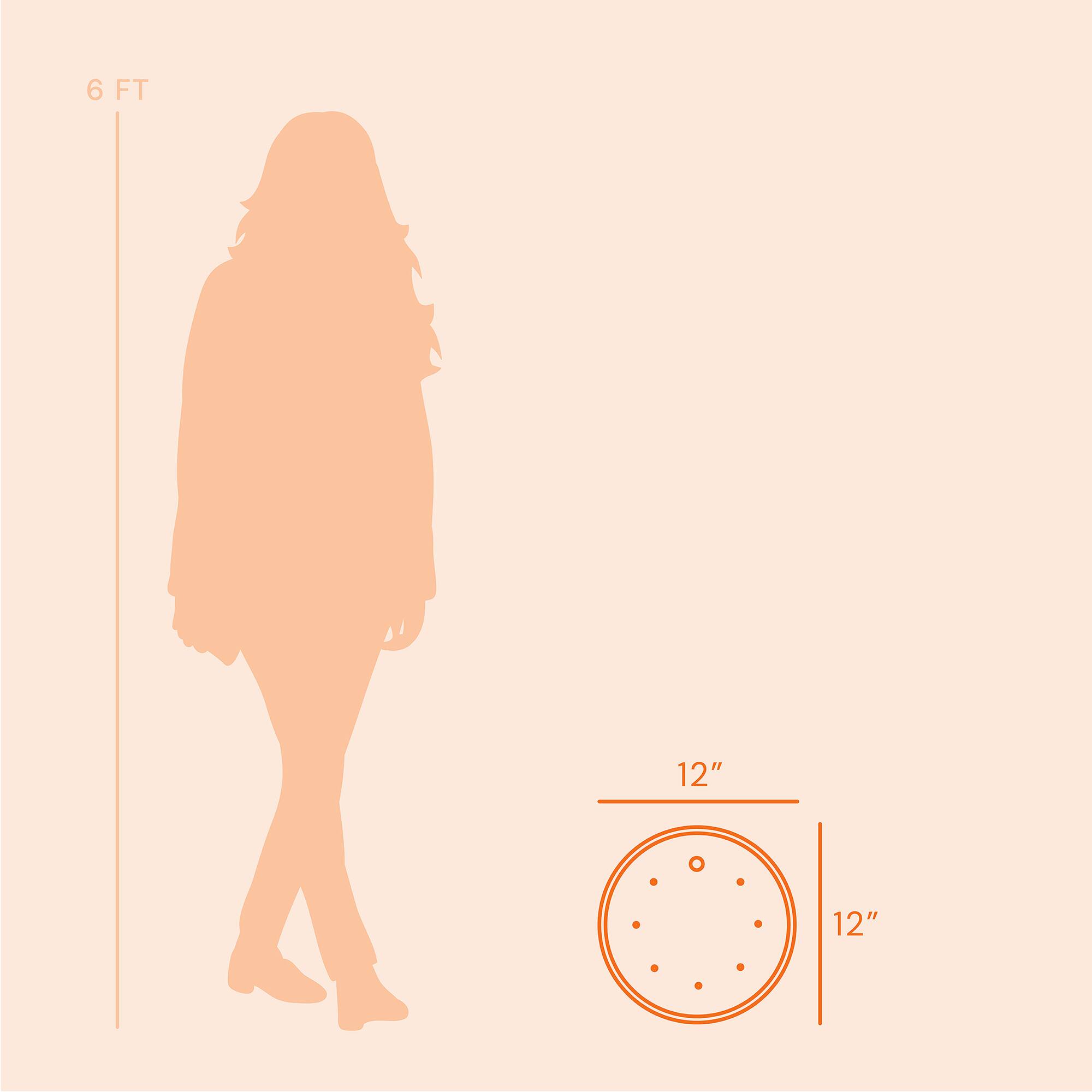 6 FT  
12"  
12"