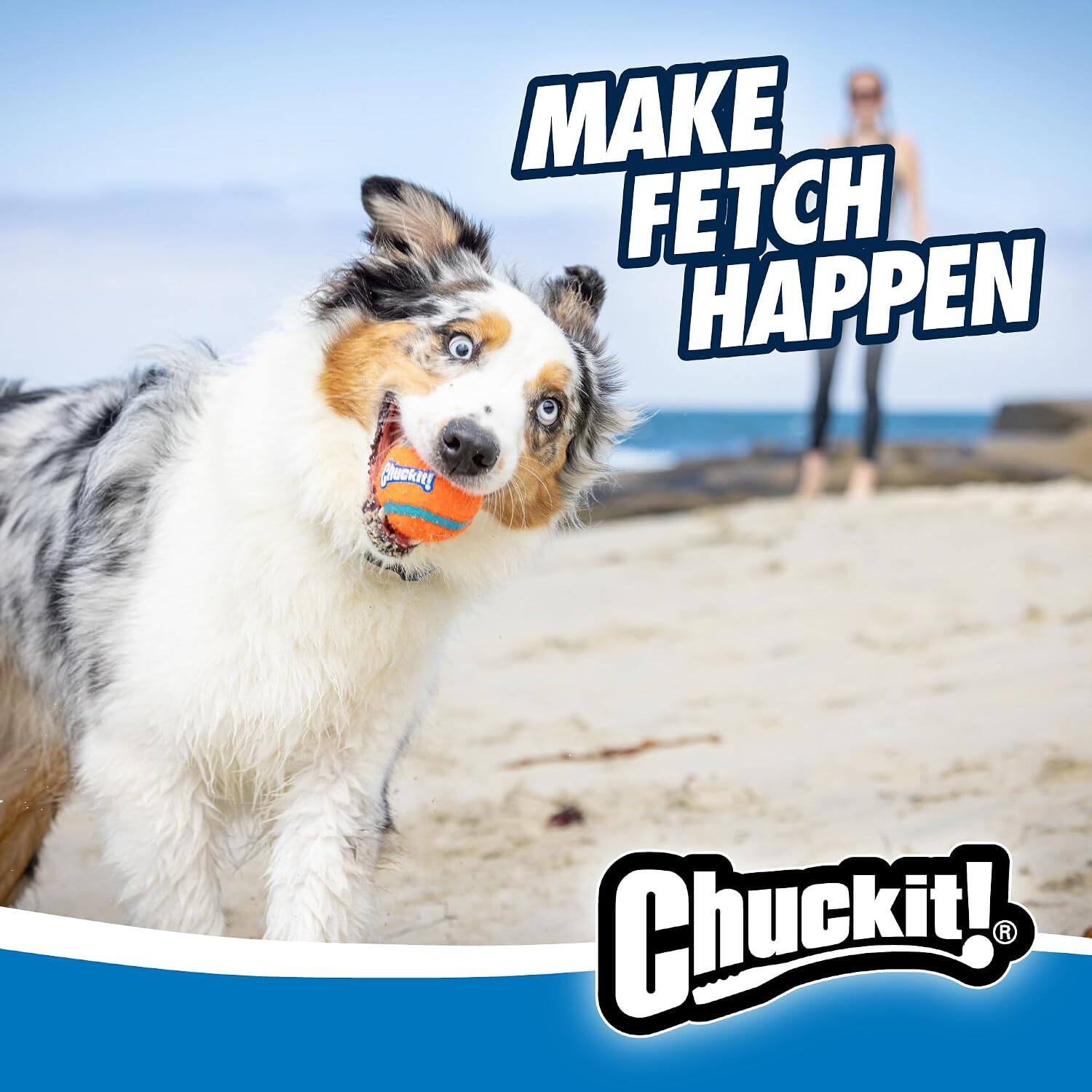 MAKE FETCH HAPPEN  
Chuckit!
