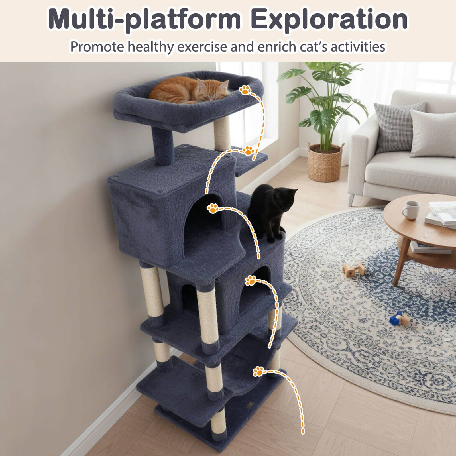 Multi-platform Exploration  
Promote healthy exercise and enrich cat's activities