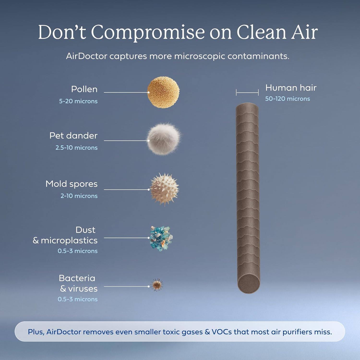 Don't Compromise on Clean Air

AirDoctor captures more microscopic contaminants.

- Pollen: 5-20 microns
- Human hair: 50-120 microns
- Pet dander: 2.5-10 microns
- Mold spores: 2-10 microns
- Dust & microplastics: 0.5-3 microns
- Bacteria & viruses: 0.5-3 microns

Plus, AirDoctor removes even smaller toxic gases & VOCs that most air purifiers miss.