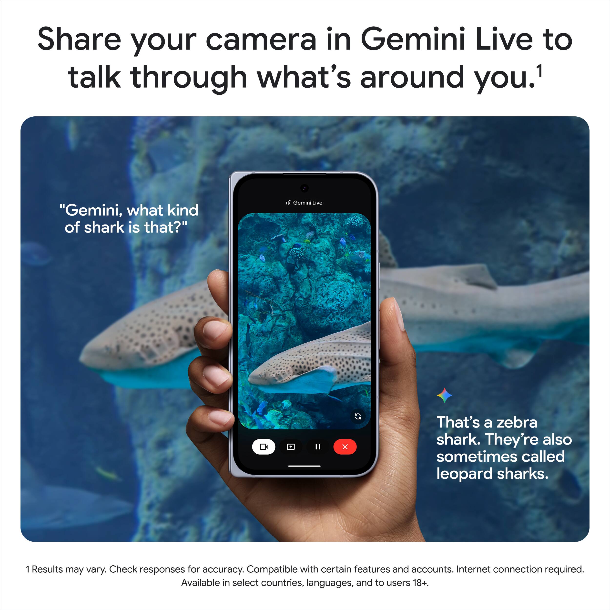 Share your camera in Gemini Live to talk through what's around you.¹

"Gemini, what kind of shark is that?"

That's a zebra shark. They're also sometimes called leopard sharks.

¹Results may vary. Check responses for accuracy. Compatible with certain features and accounts. Internet connection required. Available in select countries, languages, and to users 18+.