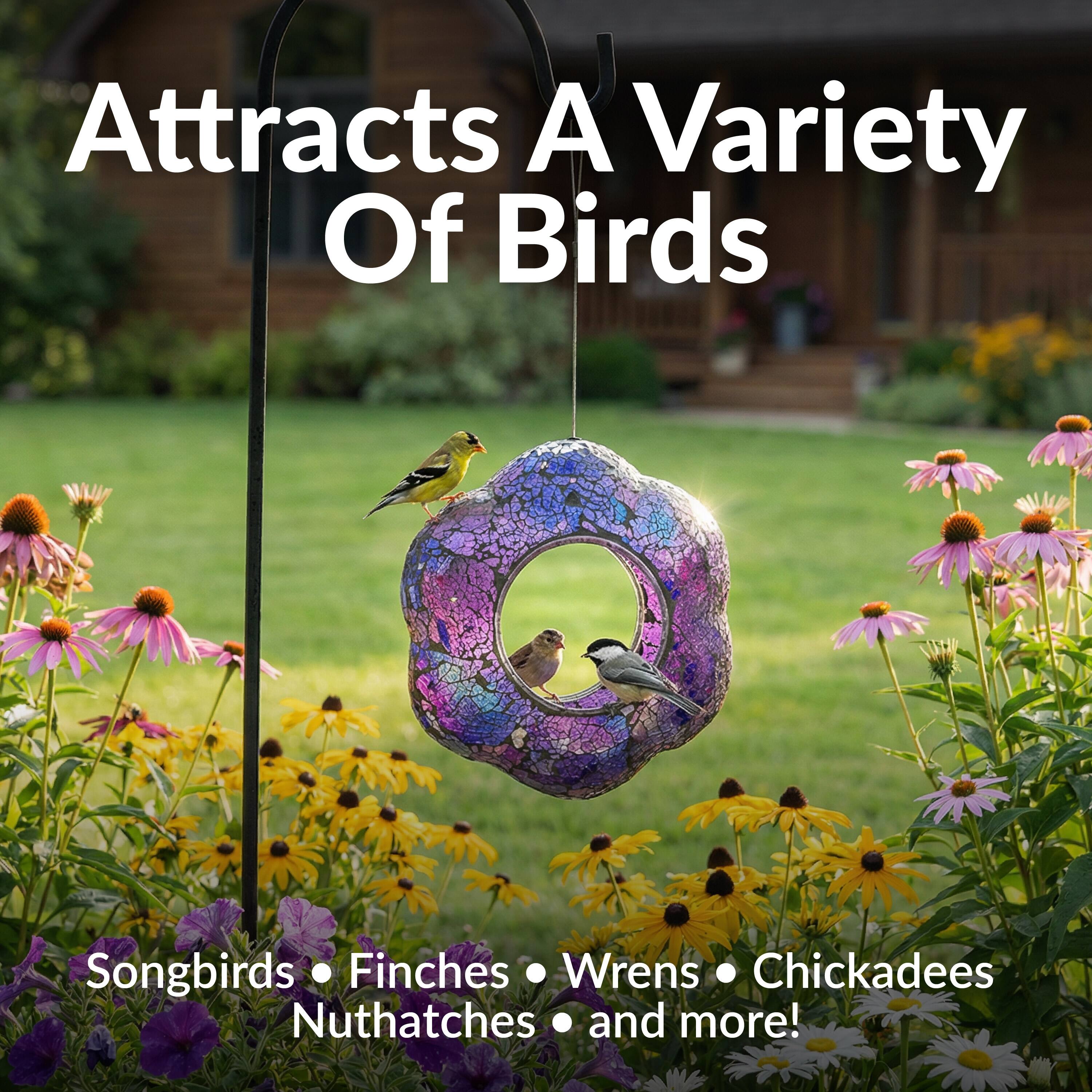 Attracts A Variety Of Birds

Songbirds • Finches • Wrens • Chickadees • Nuthatches • and more!