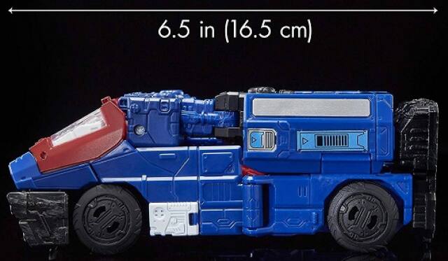 6.5 in (16.5 cm)