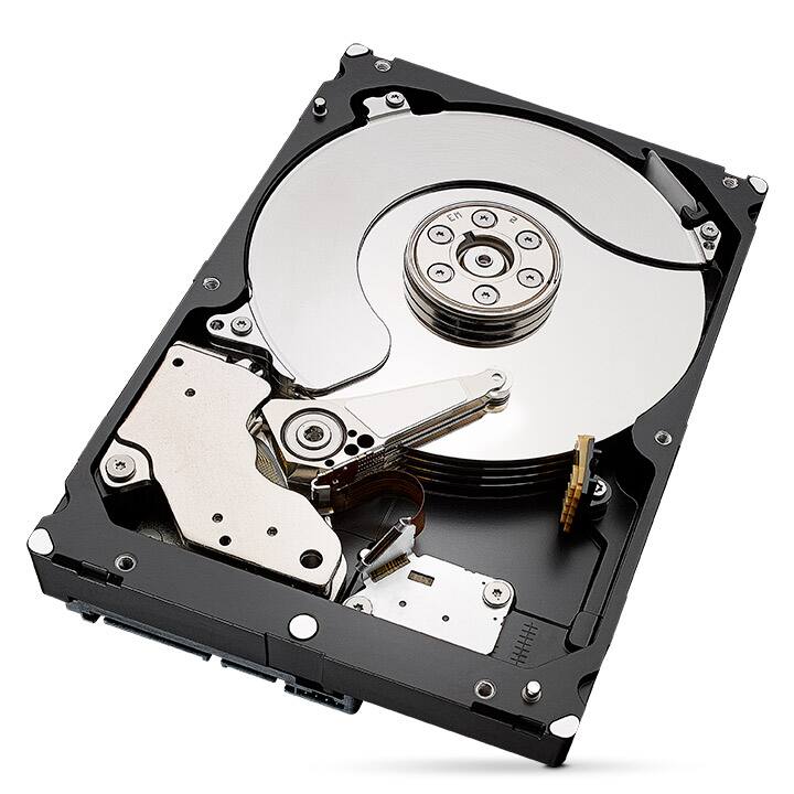 Seagate IronWolf Pro 6TB Internal Hard Drive with Rescue Data