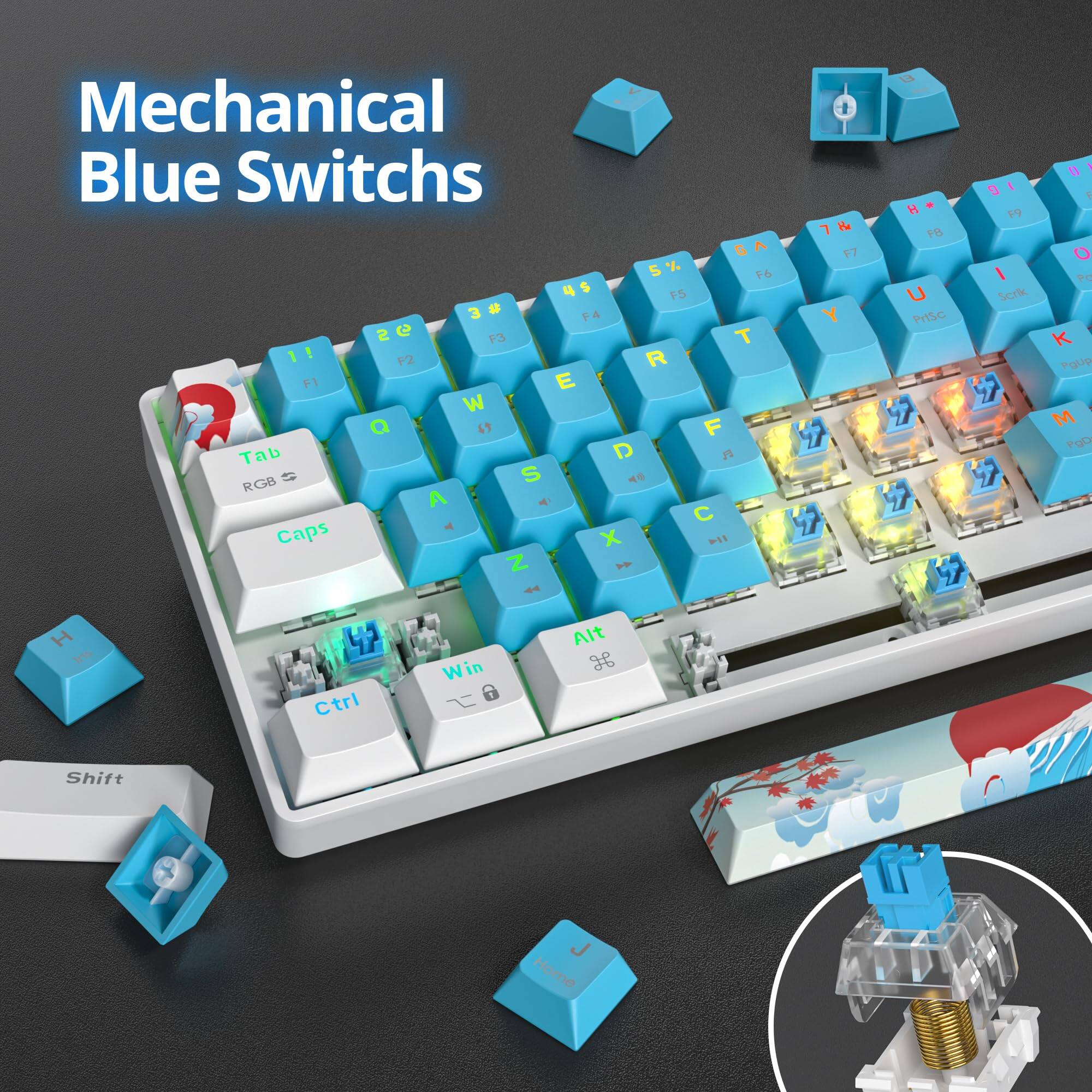 Mechanical Blue Switches

Tab RGB S
Caps
Ctrl
Win
Alt
Shift

Q W E R T Y U I O P
A S D F G H J K L
Z X C V B N M

F1 F2 F3 F4 F5 F6 F7 F8 F9 F10 F11 F12

PgUp PgDn

Home

Mechanical Blue Switches