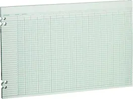 Wilson Jones - Columnar Ruled Sheets, 30 Columns, 11" x 17", 100 Sheets/Pack (WLJG5030) - Green