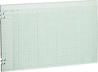 Wilson Jones - Columnar Ruled Sheets, 30 Columns, 11" x 17", 100 Sheets/Pack (WLJG5030) - Green